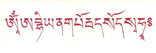 Message from Chaphur Rinpoche and the Gyalshen Board of Directors